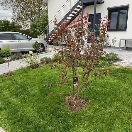 Apartment Chez Mimi *