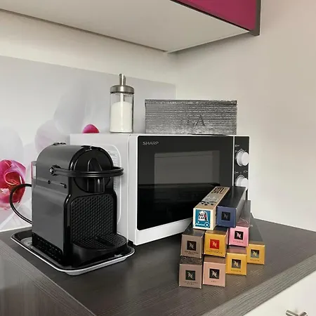 Chez Mimi Apartment Rust