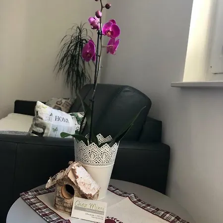 Chez Mimi *