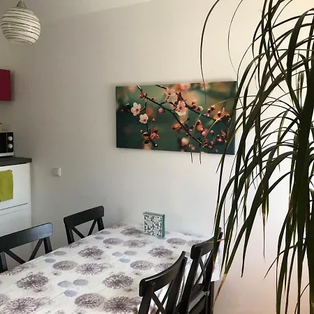 Apartment Chez Mimi