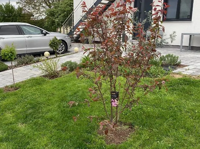 Apartament Chez Mimi *