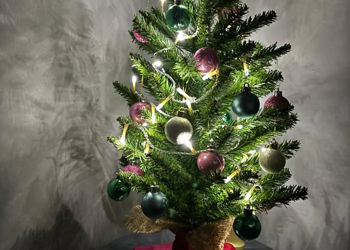 Apartament Chez Mimi Rust